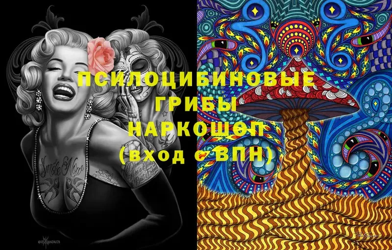 Псилоцибиновые грибы MAGIC MUSHROOMS  наркотики  Дагестанские Огни 